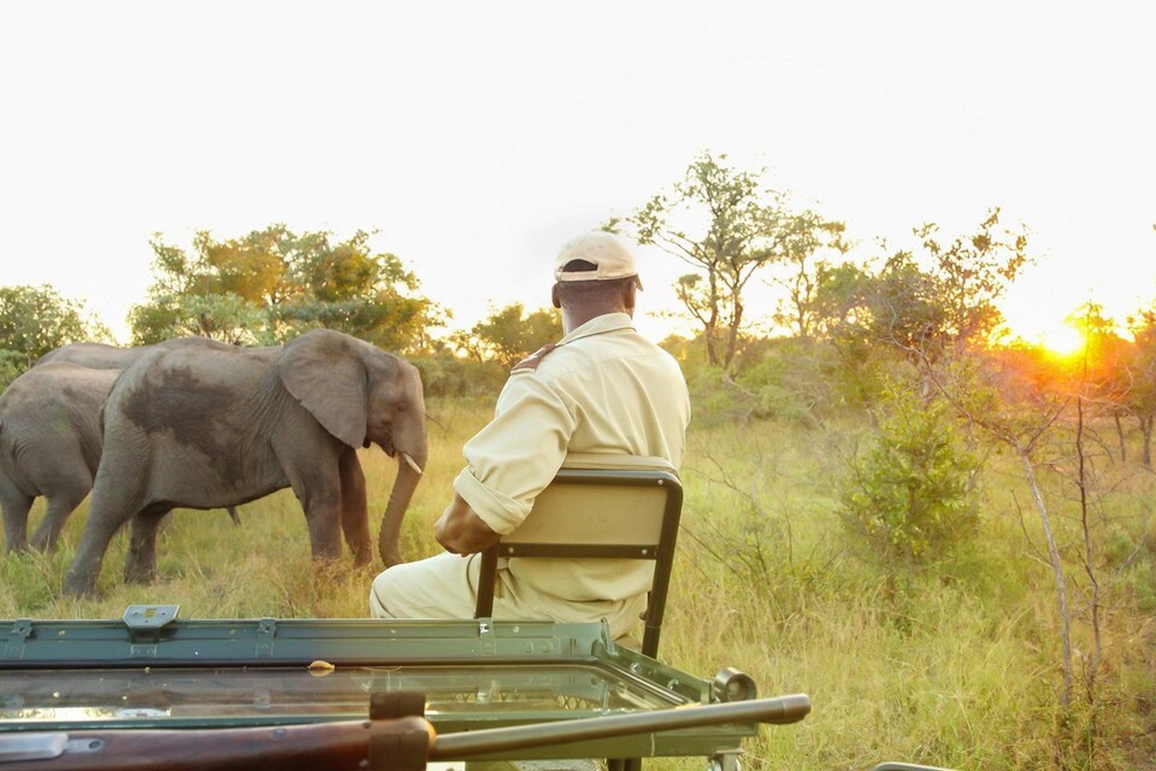 Viewing elephants on safari in Liwonde National Park